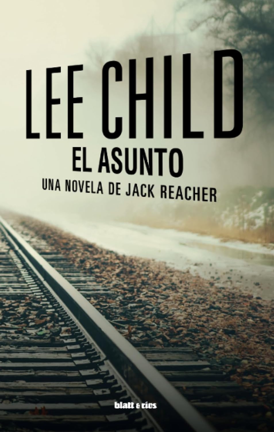 El asunto